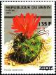 Colnect-4032-114-Parodia-subterranea.jpg