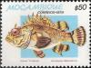 Colnect-1116-030-Mozambique-Scorpionfish-Scorpaena-mossambica.jpg