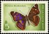 Colnect-5055-325-Lesser-Purple-Emperor-Apatura-ilia.jpg