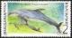 Colnect-449-654-Harbour-Porpoise-Phocaena-phocaena.jpg