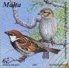 Colnect-131-472-Spanish-Sparrow-Passer-hispaniolensis.jpg