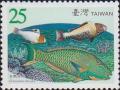 Colnect-3008-605-Bicolour-Parrotfish-Cetoscarus-bicolor.jpg