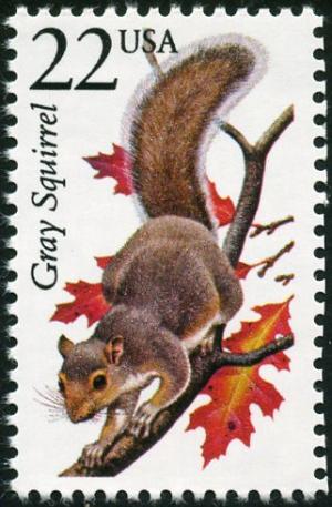 Colnect-4848-561-Gray-Squirrel-Sciurus-carolinensis.jpg