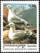 Colnect-1527-030-European-Herring-Gull-Larus-argentatus.jpg