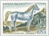 Colnect-148-200-Arabian-Horse-Equus-ferus-caballus.jpg