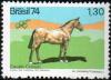 Colnect-793-410-Kriolen-Horse-Equus-ferus-caballus.jpg
