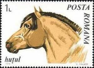 Colnect-571-444-Huzule-Horse-Equus-ferus-caballus.jpg