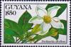 Colnect-4606-236-Portlandia-albiflora.jpg