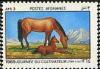 Colnect-583-494-Horse-Equus-ferus-caballus---Mare-with-Foal.jpg