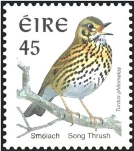 Colnect-1805-755-Song-Thrush-Turdus-philomelos.jpg