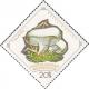 Colnect-888-632-Russula-delica.jpg