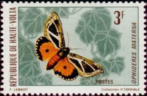 Colnect-555-928-Dot-Underwing-Ophideres-materna.jpg