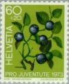 Colnect-140-517-Blueberry-Vaccinium-myrtillus.jpg