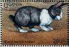 Colnect-1714-654-Black-Dutch-Rabbit-Oryctolagus-cuniculus-forma-domestica.jpg
