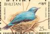 Colnect-1720-394-Asian-Fairy-bluebird-Irena-puella.jpg
