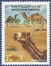 Colnect-2133-813-Dromedary-Camelus-dromedarius.jpg