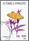 Colnect-3571-471-Fritillary-Butterfly-Argynnis-sp.jpg