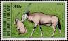 Colnect-793-021-Beisa-Oryx-Oryx-gazella-beisa.jpg
