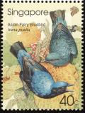 Colnect-1623-925-Asian-Fairy-bluebird-Irena-puella.jpg