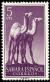 Colnect-1399-267-Dromedary-Camelus-dromedarius.jpg