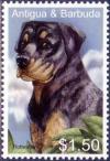 Colnect-3414-748-Rottweiler-Canis-lupus-familiaris.jpg
