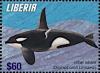Colnect-7374-167-Killer-Whale-Orcinus-orca.jpg