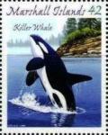 Colnect-6004-541-Killer-Whale-Orcinus-orca.jpg