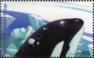 Colnect-2229-464-Killer-Whale-Orcinus-orca.jpg