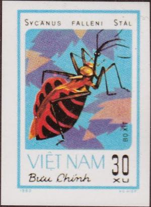 Colnect-2512-889-Soldier-Bug-Sycanus-falleni.jpg