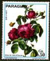 Colnect-1443-555-Rosa-de-cien-petalos.jpg