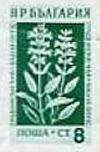 Colnect-1619-978-Garden-Sage-Salvia-officinalis.jpg