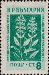 Colnect-2159-606-Garden-Sage-Salvia-officinalis.jpg