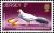 Colnect-5936-476-White-eared-Pheasant-Crossoptilon-crossoptilon-.jpg
