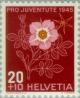 Colnect-139-833-Alpine-rose-Rosa-pendulina-syn-Rosa-alpina.jpg