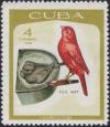 Colnect-2410-666-Domestic-Canary-Serinus-canaria-forma-domestica.jpg