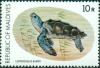 Colnect-4559-115-Kemp-s-Ridley-Sea-Turtle-Lepidochelys-kempii.jpg