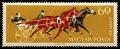 1408_Horses_60.jpg