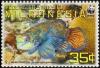 Colnect-1620-623-Mandarinfish-Synchiropus-splendidus.jpg