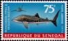 Colnect-897-925-Whale-Shark-Rhincodon-typus.jpg