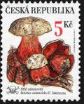 Colnect-3729-375-Rare-mushrooms-Boletus-satanas.jpg