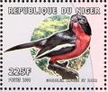 Colnect-4908-446-Crimson-breasted-Shrike----Laniarius-atrococcineus.jpg