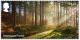Colnect-6012-076-Sherwood-Forest.jpg