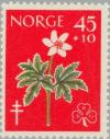 Colnect-161-464-Tuberculosis-Relief-Fund--Flowers.jpg