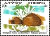 Colnect-2708-315-Sidamo-Province.jpg