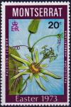 Colnect-3924-347-Passiflora-herbertiana.jpg
