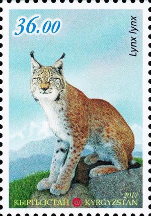 Colnect-4906-411-Eurasian-lynx-Lynx-lynx.jpg