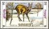 Colnect-1257-904-Siberian-musk-deer-Moschus-Moschiferus.jpg