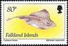 Colnect-3909-714-Patagonian-Skate-Bathyraja-macloviana.jpg
