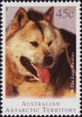 Colnect-4711-429-Siberian-Husky-Canis-lupus-familiaris.jpg