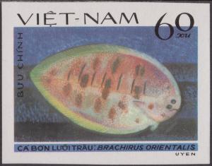 Colnect-1495-318-Oriental-Sole-Brachirus-orientalis.jpg